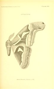 n142_w1150