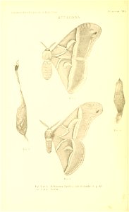 n125_w1150