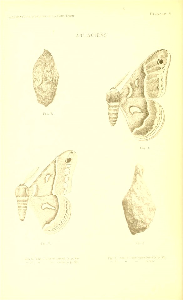 n117_w1150