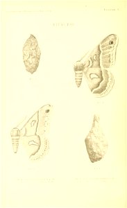 n117_w1150