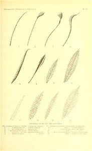 n94_w1150
