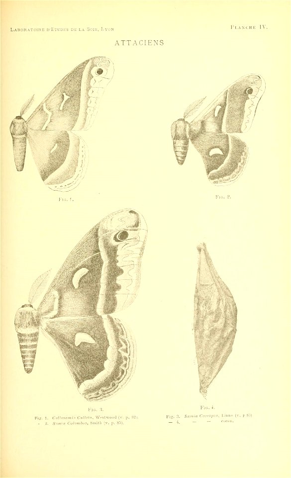 n112_w1150