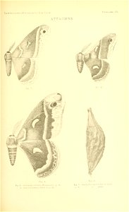n112_w1150