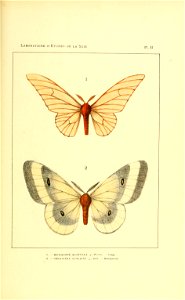 n186_w1150
