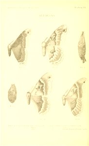 n109_w1150