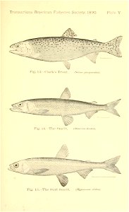 n158_w1150