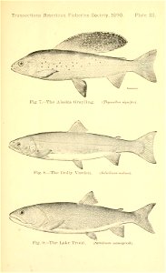 n156_w1150
