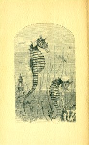 n303_w1150