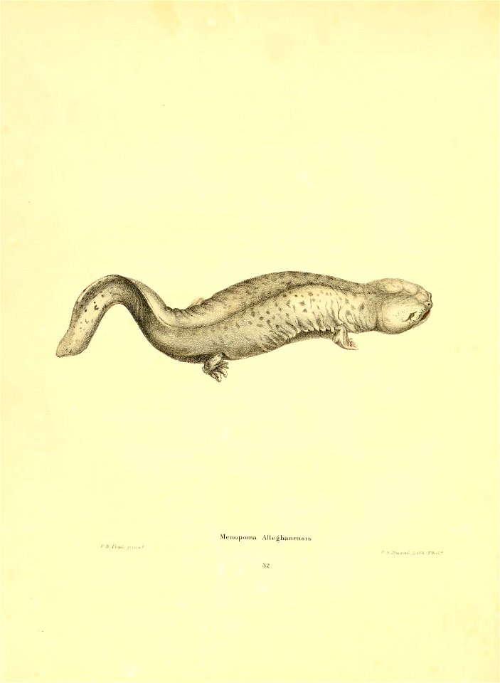 n165_w1150