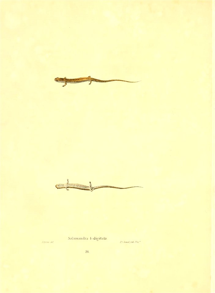 n113_w1150