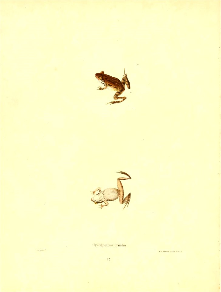 n157_w1150