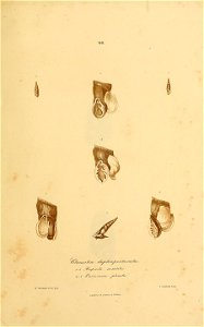 n378_w1150