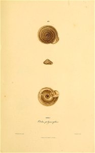 n374_w1150