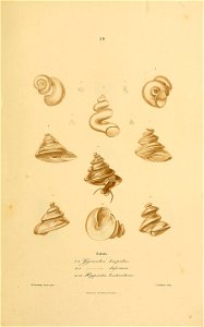 n376_w1150