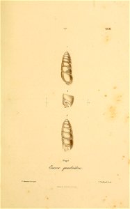 n356_w1150