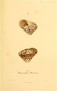 n342_w1150