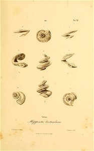 n304_w1150