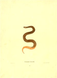 n187_w1150