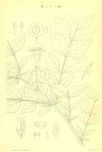 n294_w1150