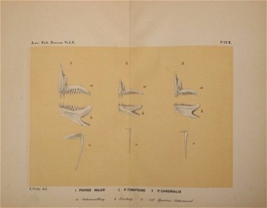 n139_w1150