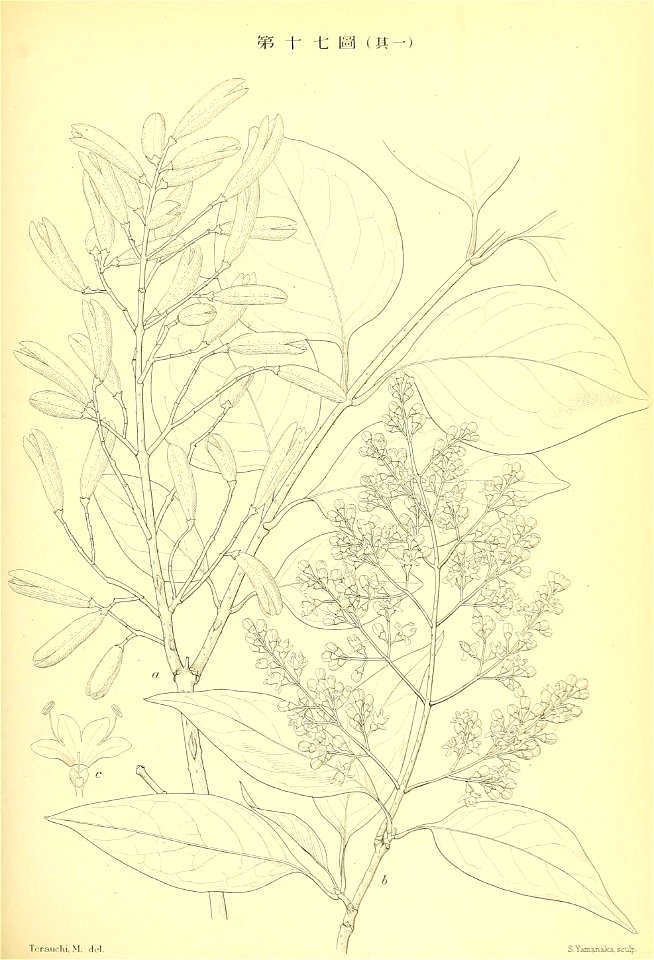 n254_w1150