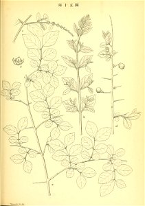 n110_w1150