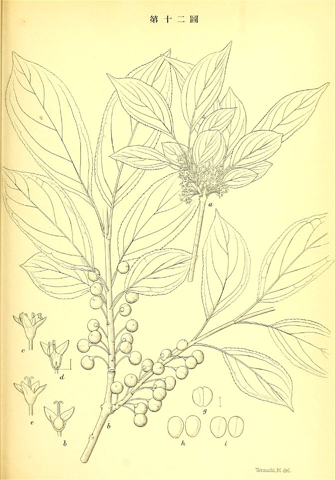 n98_w1150