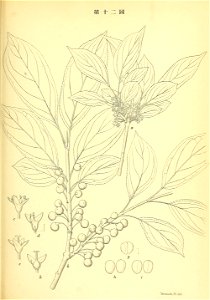 n98_w1150