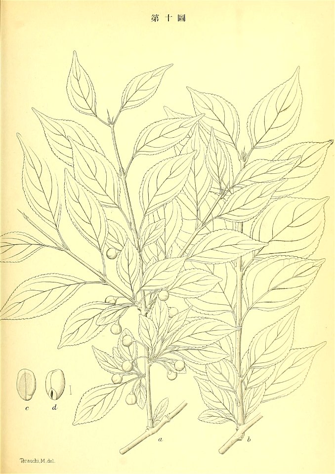 n90_w1150