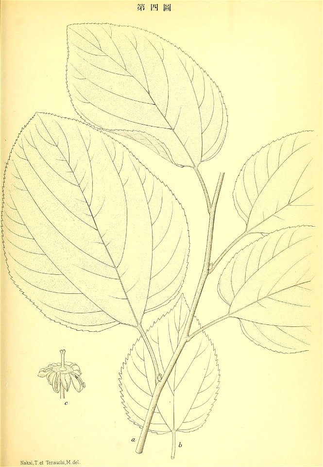 n66_w1150