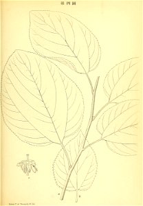 n66_w1150