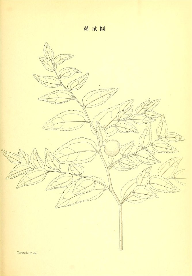 n58_w1150