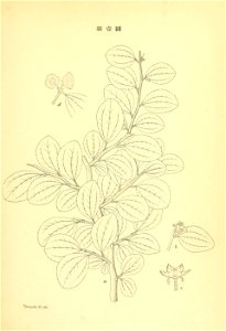 n54_w1150