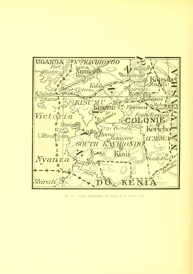 n295_w1150