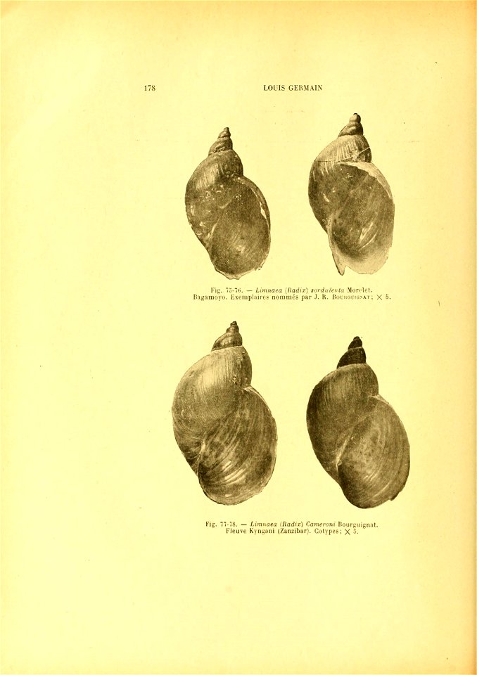 n195_w1150