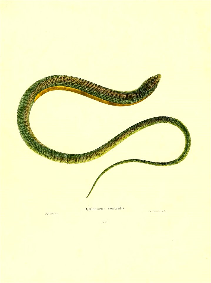 n181_w1150