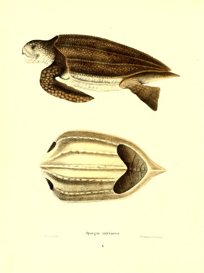 n59_w1150
