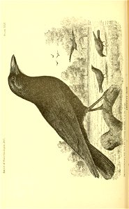 n403_w1150