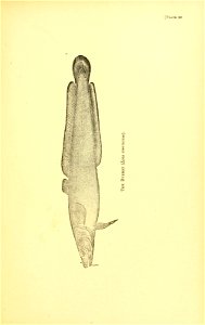 n608_w1150