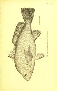n604_w1150