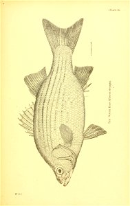 n598_w1150