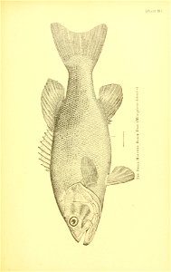 n592_w1150