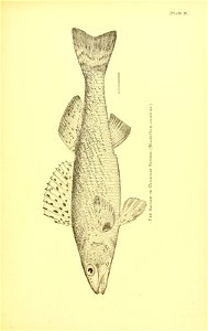 n586_w1150