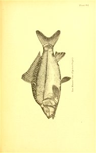 n624_w1150