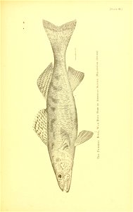 n584_w1150