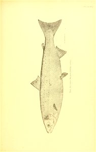 n568_w1150