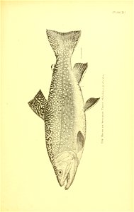 n574_w1150