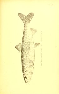 n572_w1150