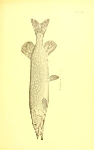 n576_w1150