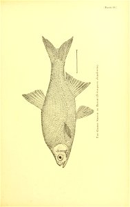 n544_w1150